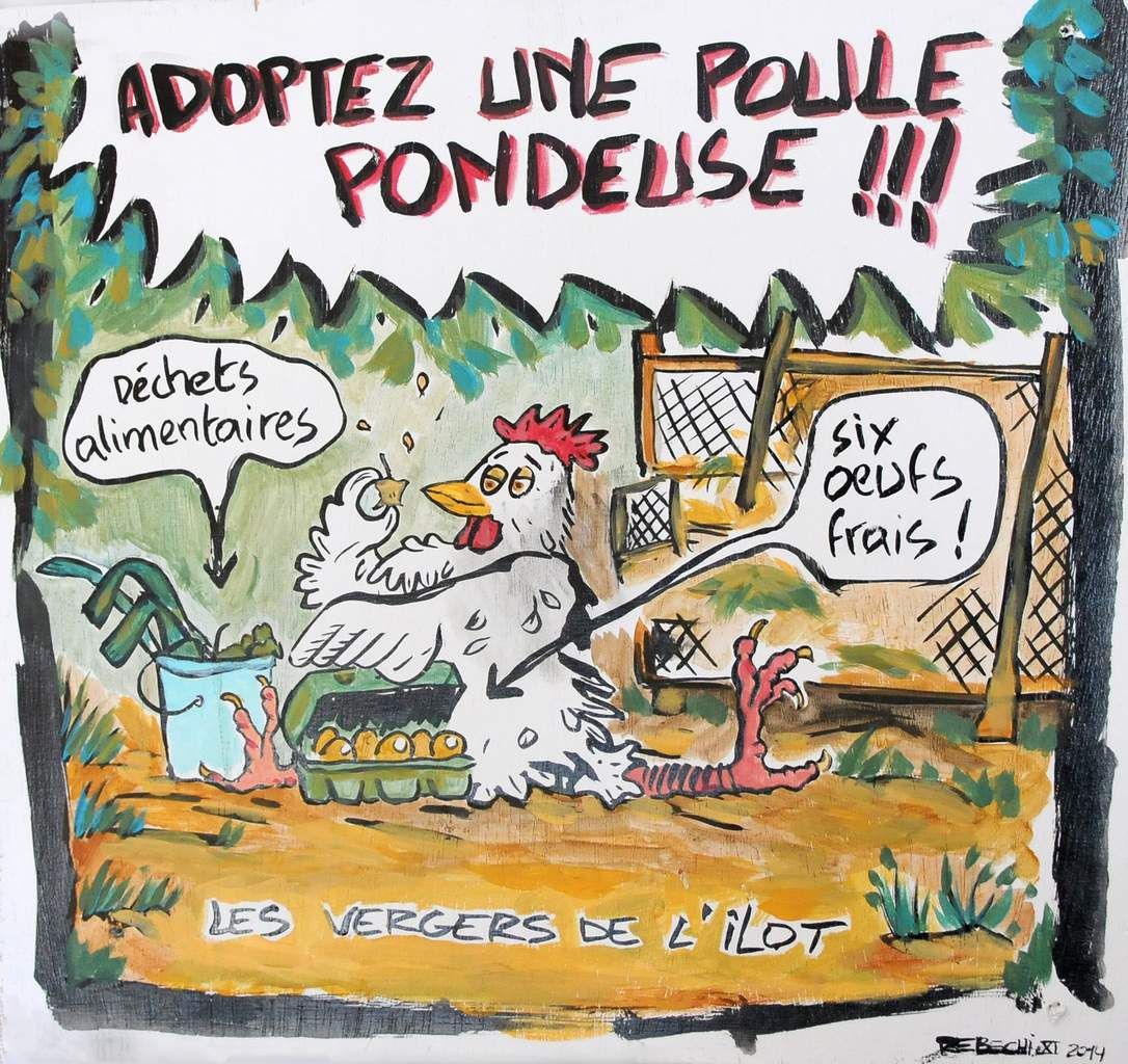 Reviens ma poule