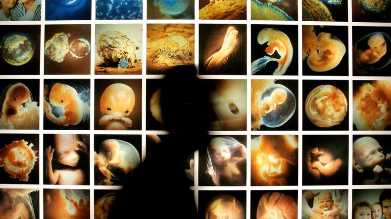 Grande-Bretagne : feu vert pour les embryons humains génétiquement modifiés