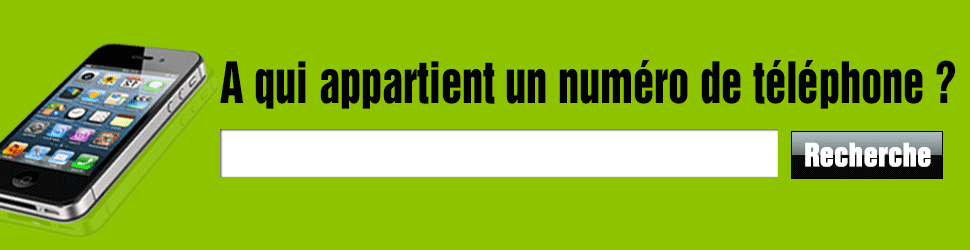 Recherche inverse gratuite * : découvrez à qui est ce numéro.