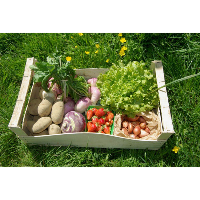 Panier légumes semaine 17 - Nuzéjouls