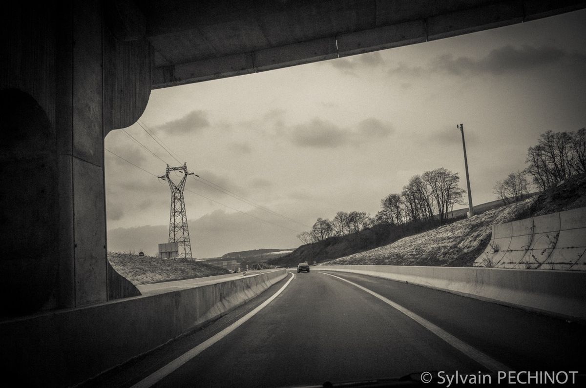 Dijon lino, février 2015