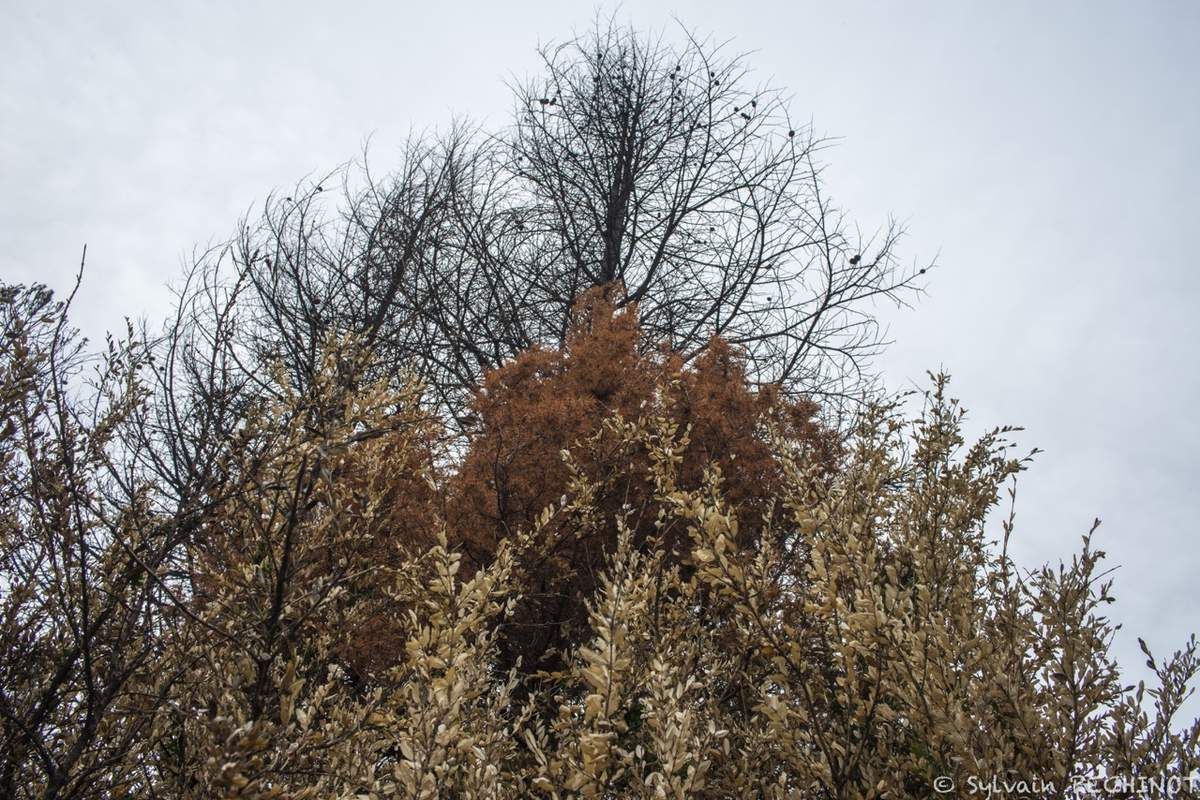 Chenôve, octobre 2015