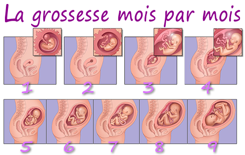 Le nettoyage les parasites de la photo