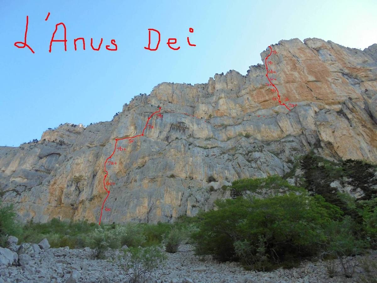 vue de sous la face dans le pierrier