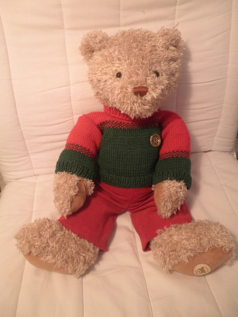 ours en peluche habillé