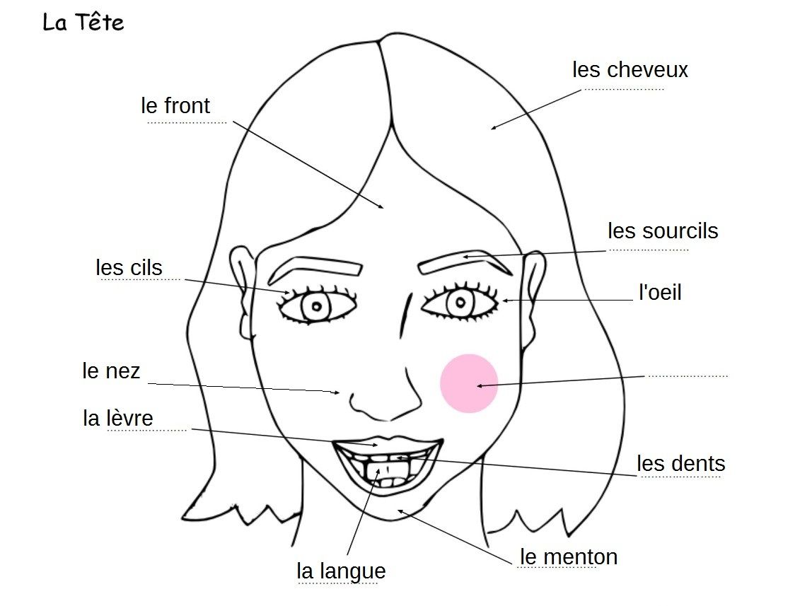 Fait mal le cou la clavicule et dans la gorge