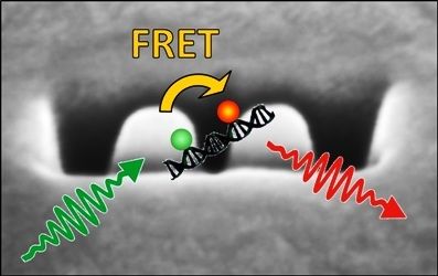 Nanogap optical antennas to enhance FRET
