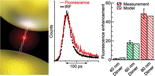 Picosecond lifetimes and high quantum yields in plasmonic dimer antennas