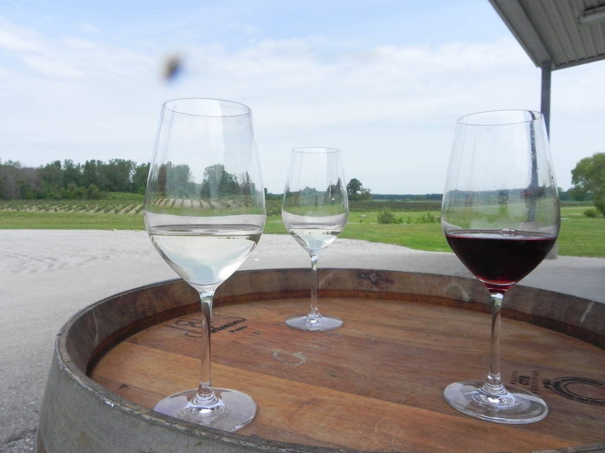 Wine Of The Week Burning Kiln Winery Norfolk County