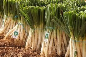 Calçots baby. Quiche