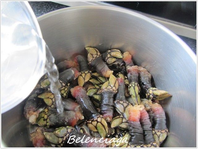 percebes