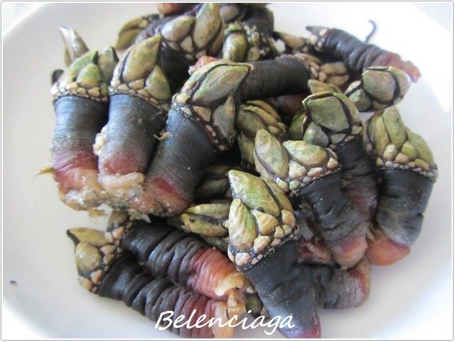 Percebes cocidos - Belenciaga paso a paso