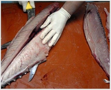 bonito