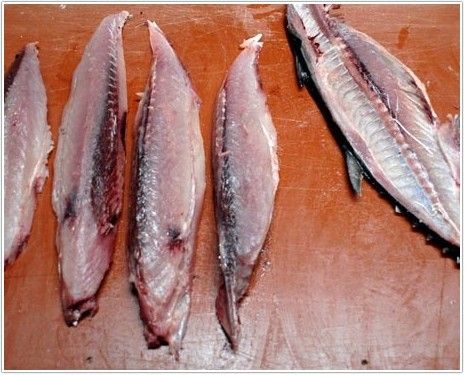 bonito
