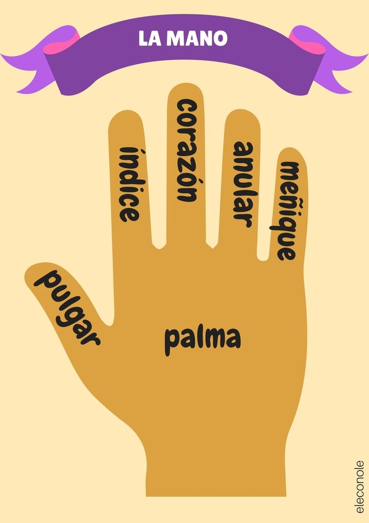 un poco de vocabulario en castellano - le blog de linfodesaintjo