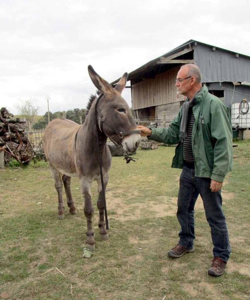 premier site rencontre animaux