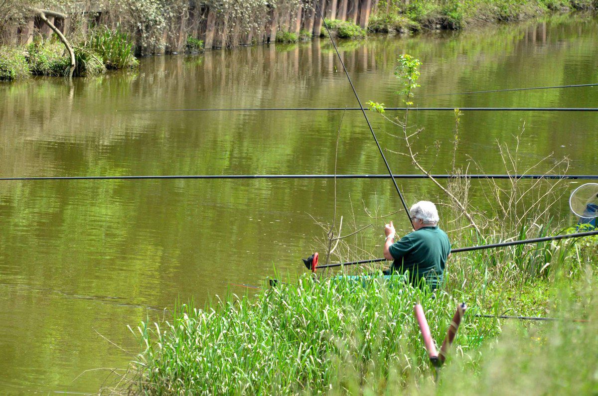 Deux concours pêche qualificatifs pour des épreuves nationales de pêche au coup.