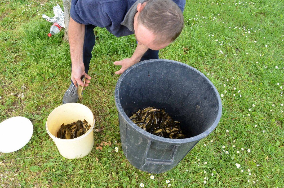 Pêche : trois équipes Rhône-Alpines qualifiées pour le Championnat de France.