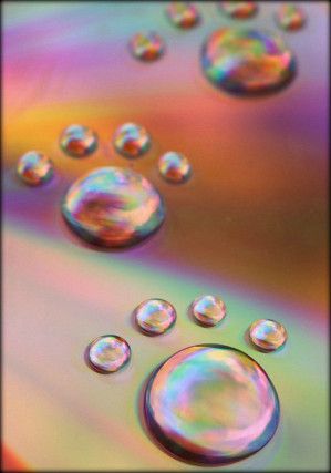 prostituée avec chien