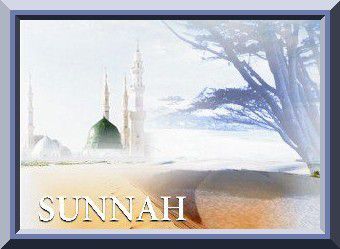 Sunnah ? (audio)