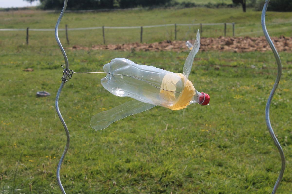 Fabriquer Un Effaroucheur Pour Le Potager La Ferme Du Chat Perche