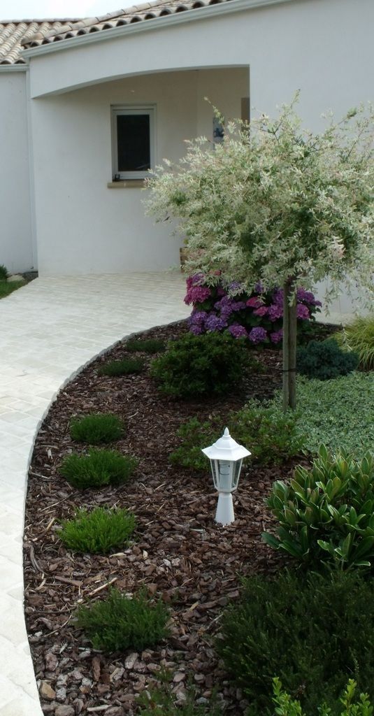 Le jardin de camélia d'une superficie de 12 ares, tout est à créer ! Idées Bordure Jardin