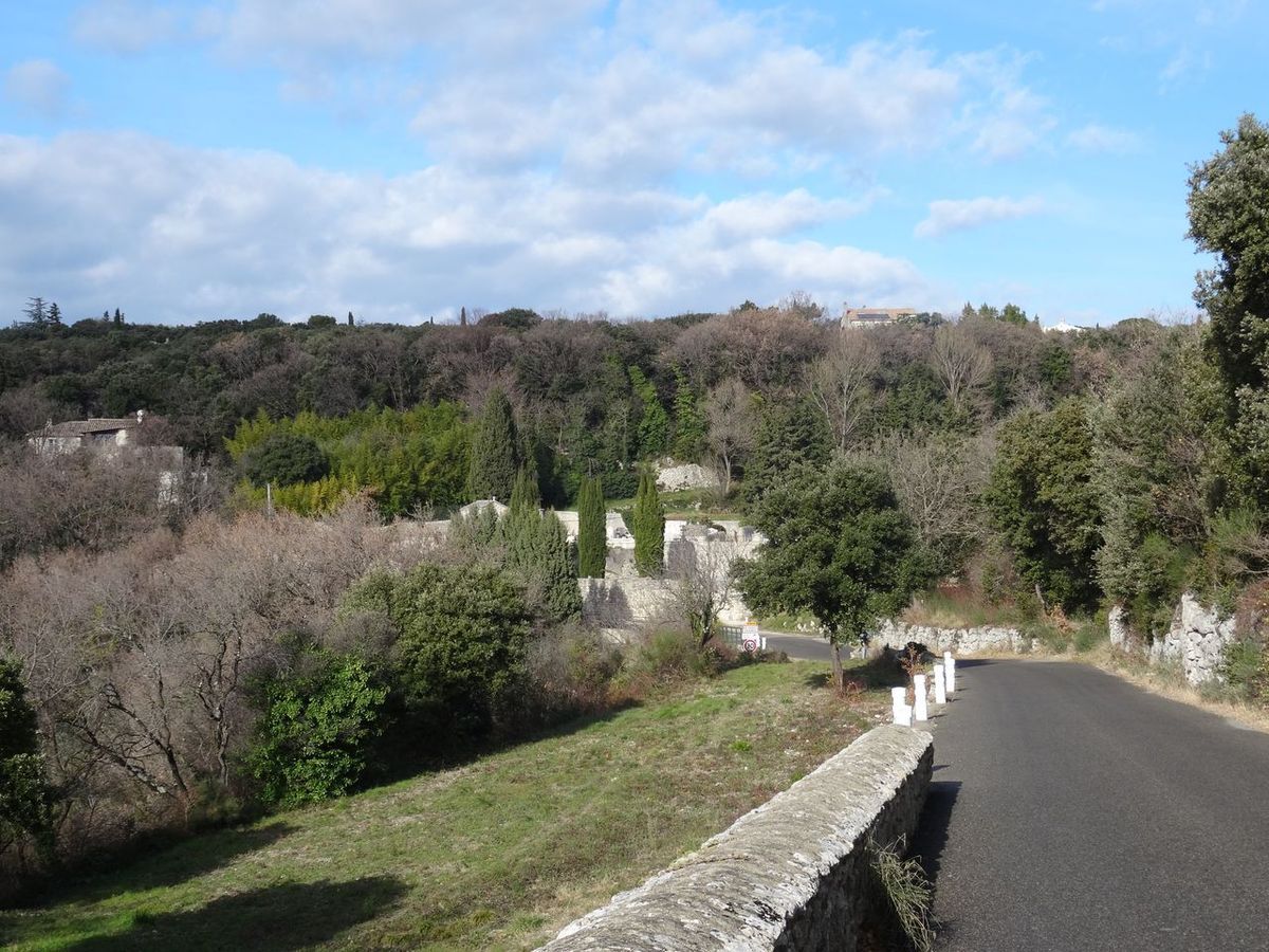 Un DodecaAudax Provençal 