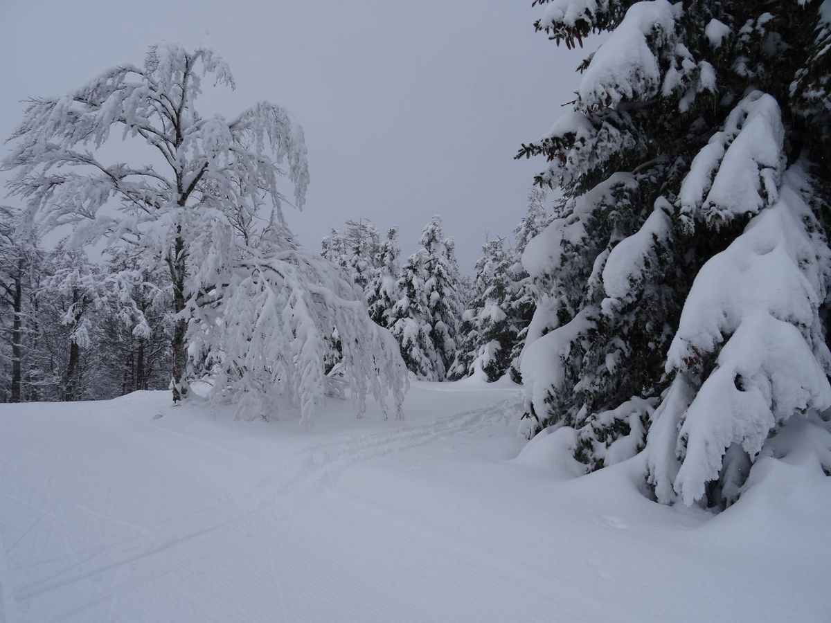 Bataille de ... boules de neige !