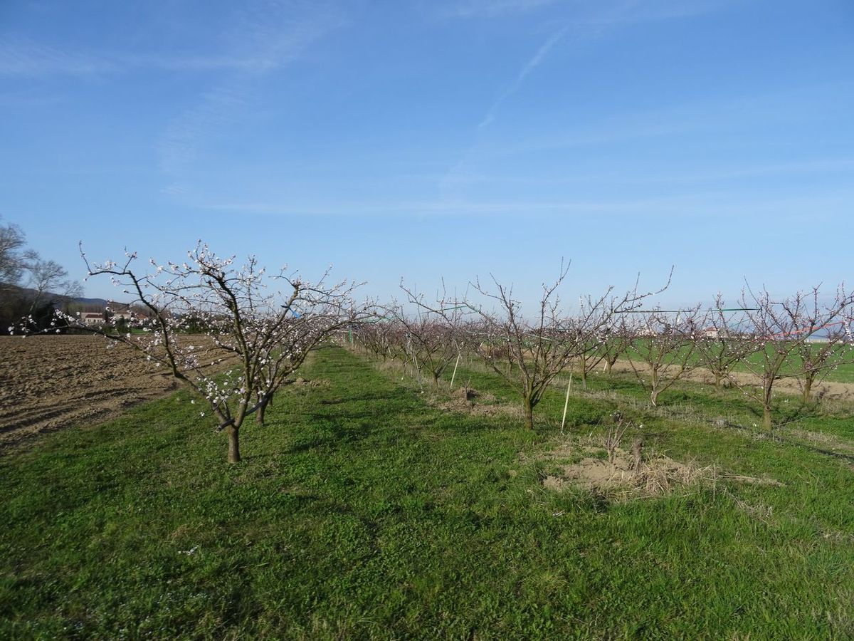 1- Aouste 2- de Livron à Beauchastel (dernière photo) 