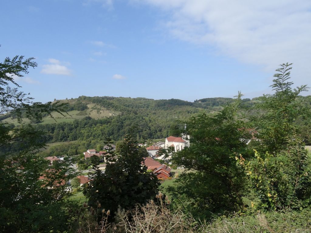 Murinais