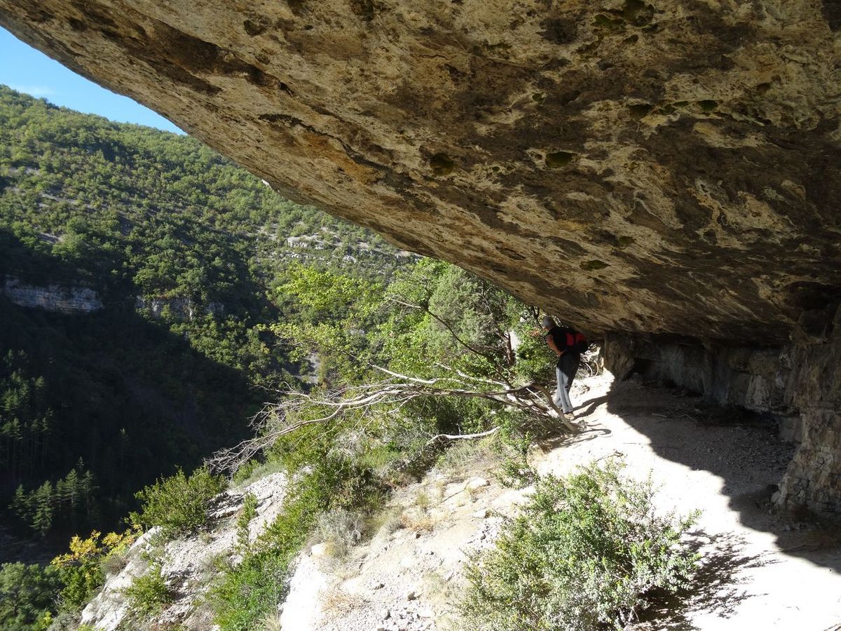 Et ne pas se cogner la tête au plafond .... 