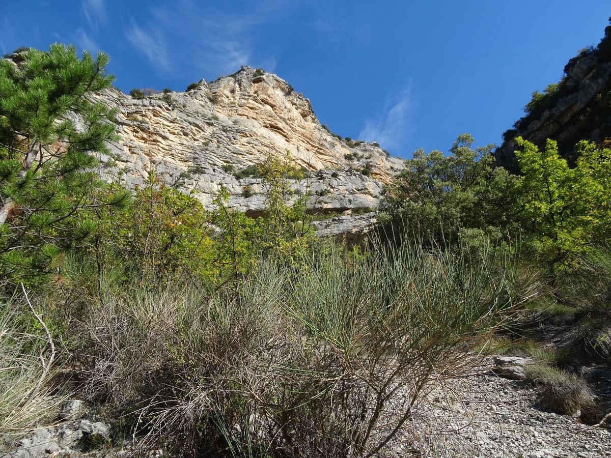 Le décor "drôme provençale" est planté ...