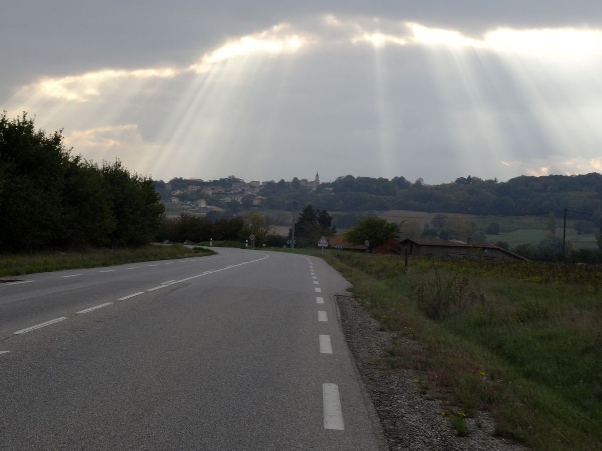 Conditions d'automne pour le DodecaAudax d'octobre 