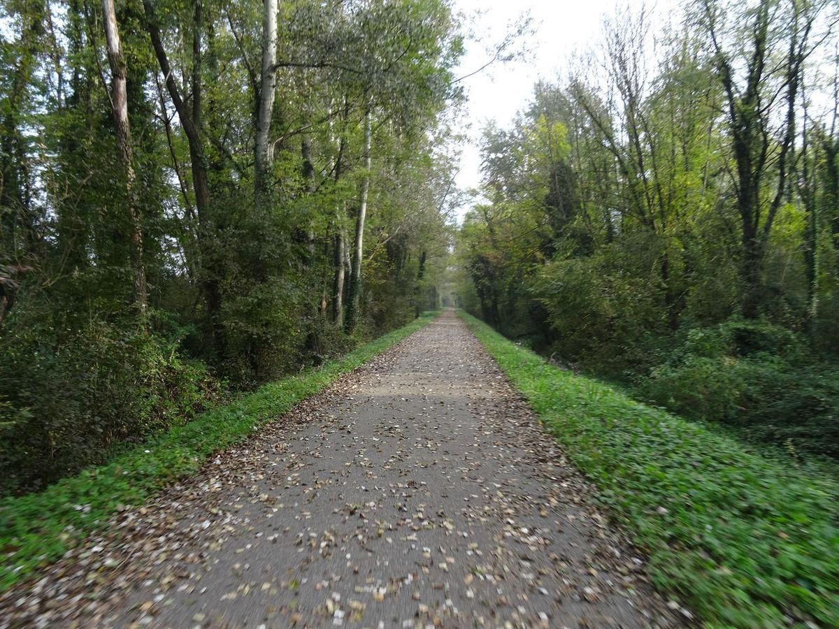 Conditions d'automne pour le DodecaAudax d'octobre 