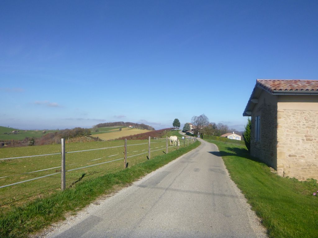 Novembre, un DodecaAudax &quot;tricoté&quot; 