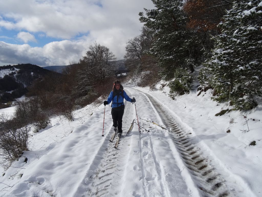 Peu de neige au début mais plus en forêt ensuite 
