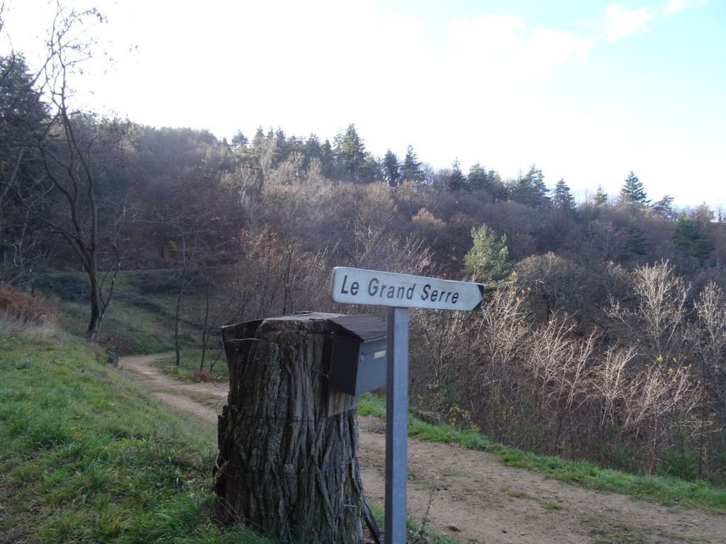 Tiens il y a un Grand Serre par là !!! 
