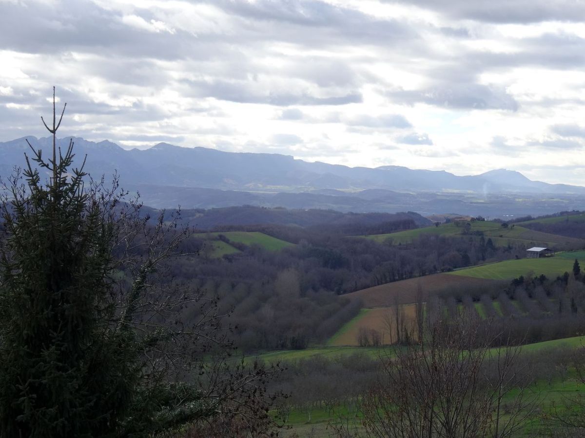 Depuis Montmiral ... la neige n'est pas descendue bien bas :-( 