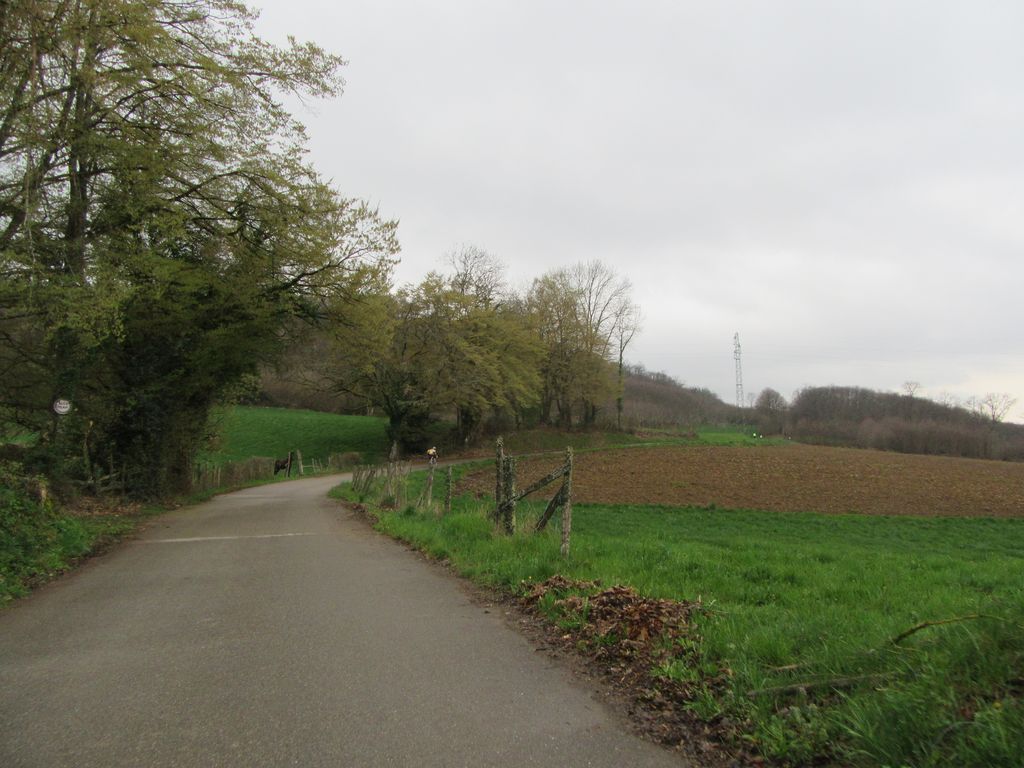 Yohann, Valex et Coco, Eddy et son compagnon de route 