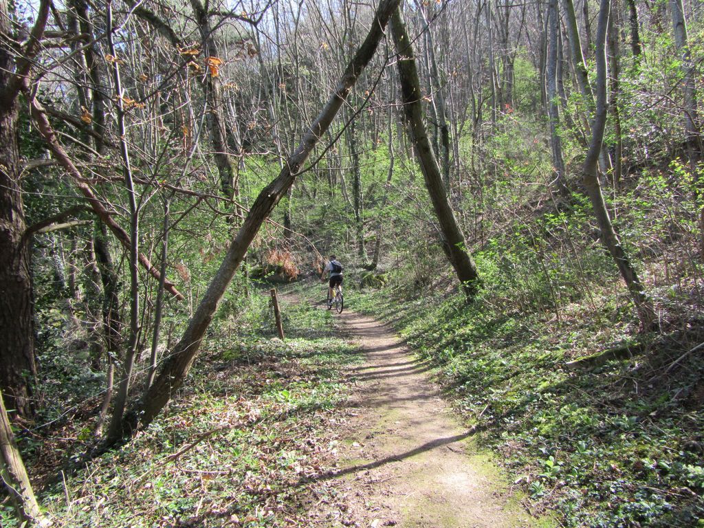 Printemps dans les petits chemins 