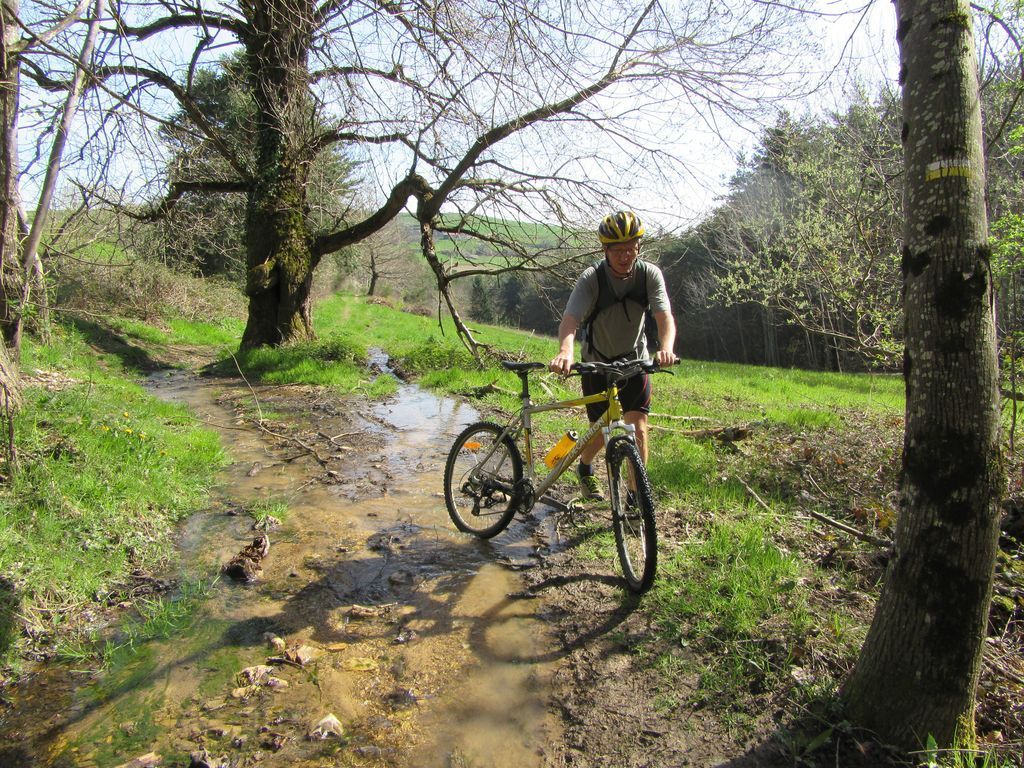Printemps dans les petits chemins 