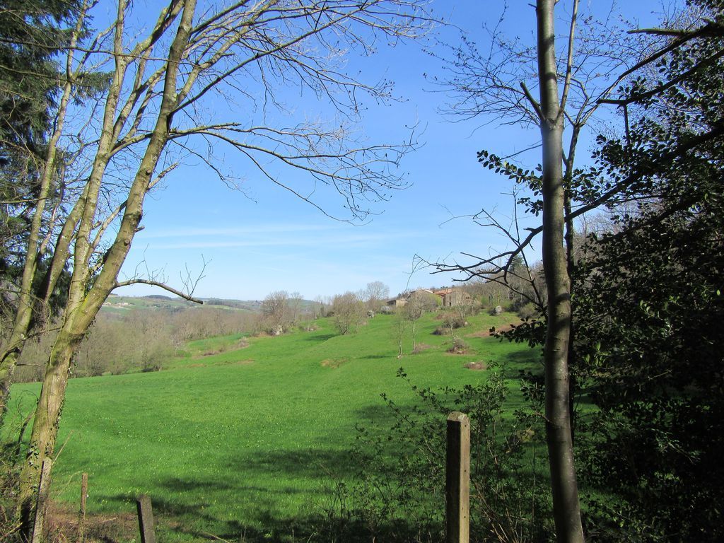 Printemps dans les petits chemins 