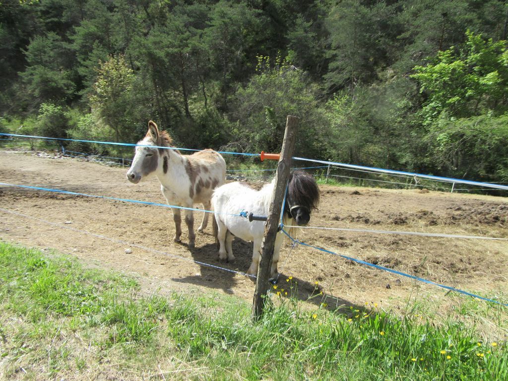Vallée de la Sépie et Col de la Croix . Mais ... Robert veut faire demi-tour ou quoi ??? 