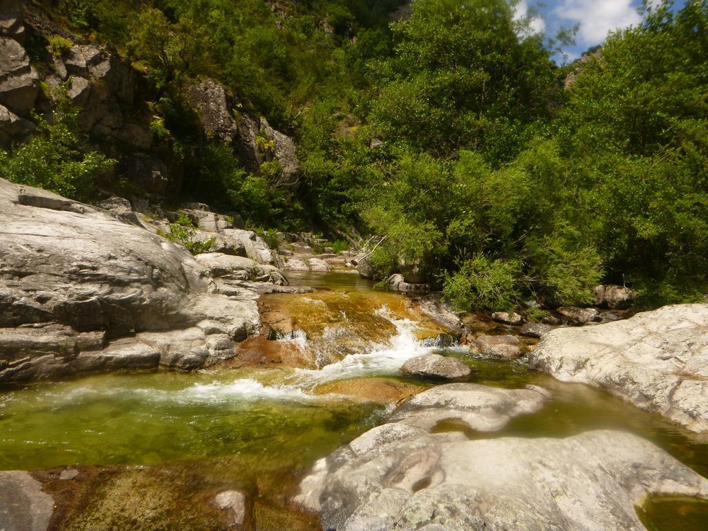 Baignades 