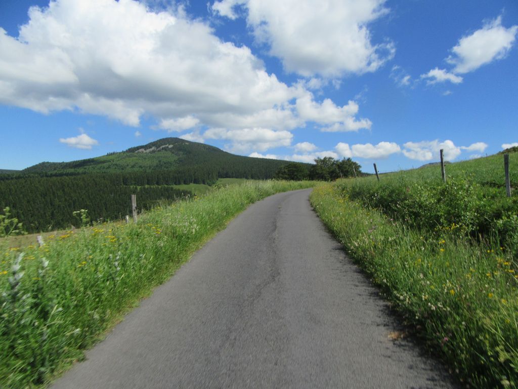Forêt et Abbaye de Bonnefoy 