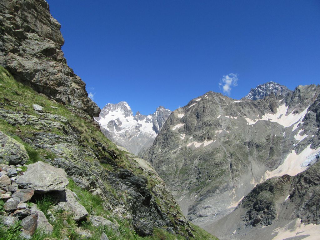 Terrain un peu bizarre pour passer de l'âne au chardon !