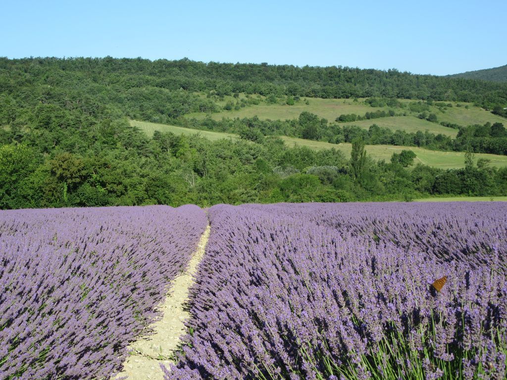 Mercredi matin fleuri dans les environs de Crest 