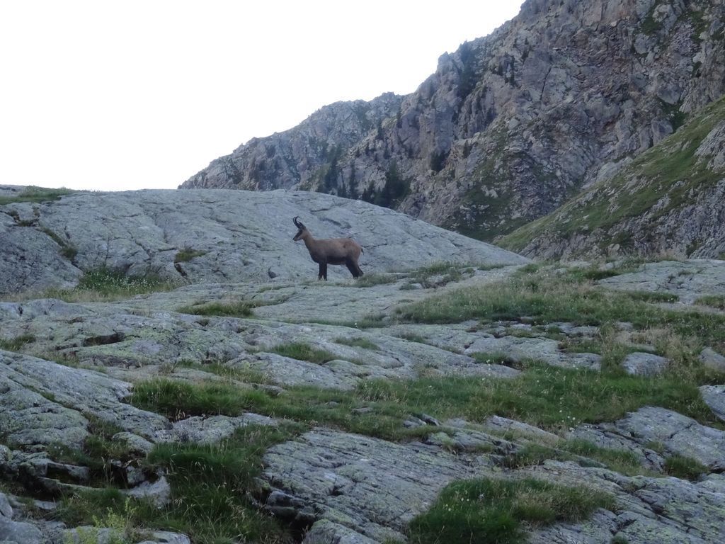 Fin de descente avec des compagnons joueurs