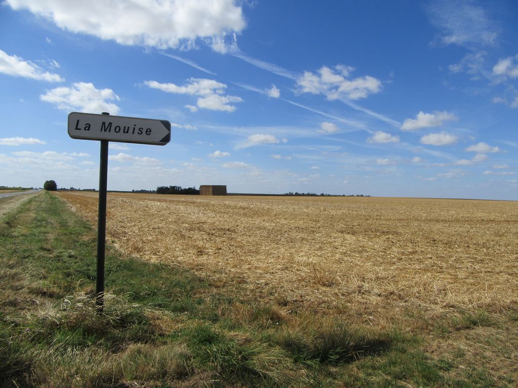 Ca va vraiment vite ... et hop, c'est Orléans, et hop, j'ai dépassé les 200 km depuis un moment. 