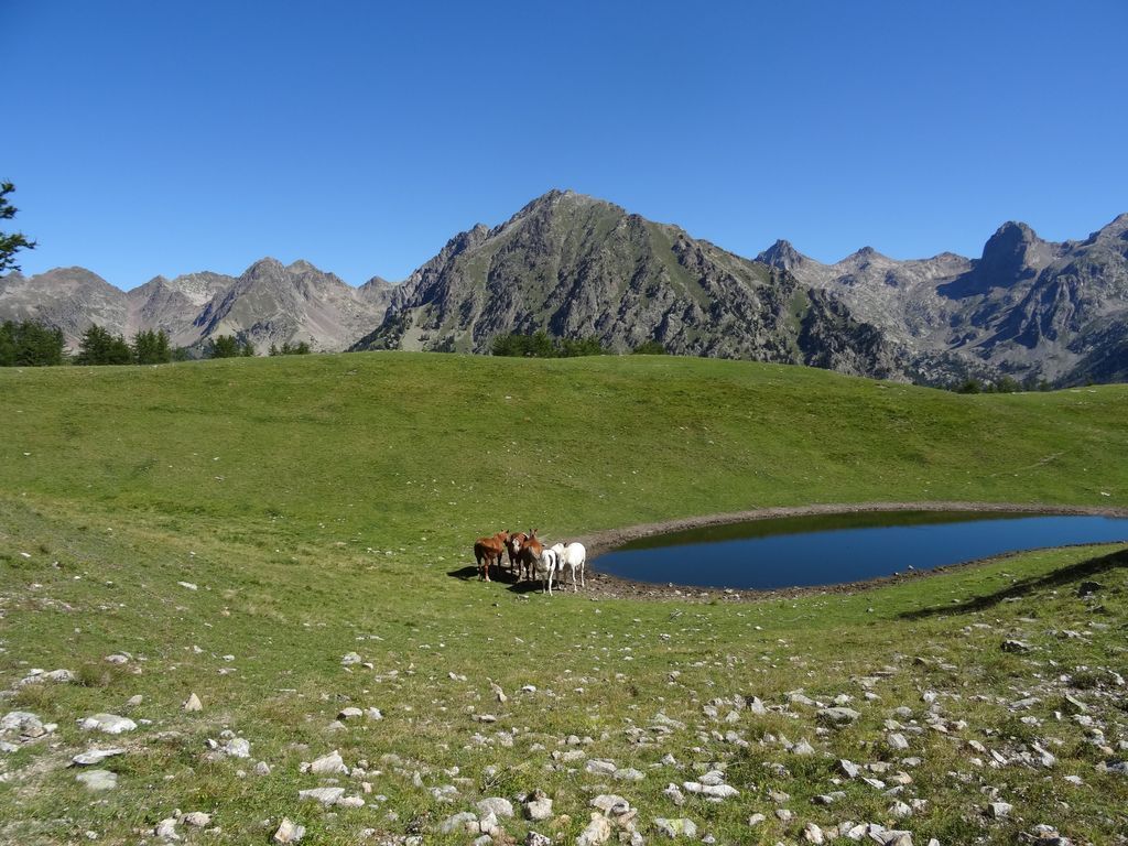 Vallée du Boréon, cime de Piagu et vue sur St Martin de Vésubie 